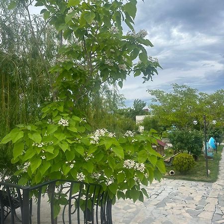 Ralina Restaurant and Hotel Ararat Bagian luar foto