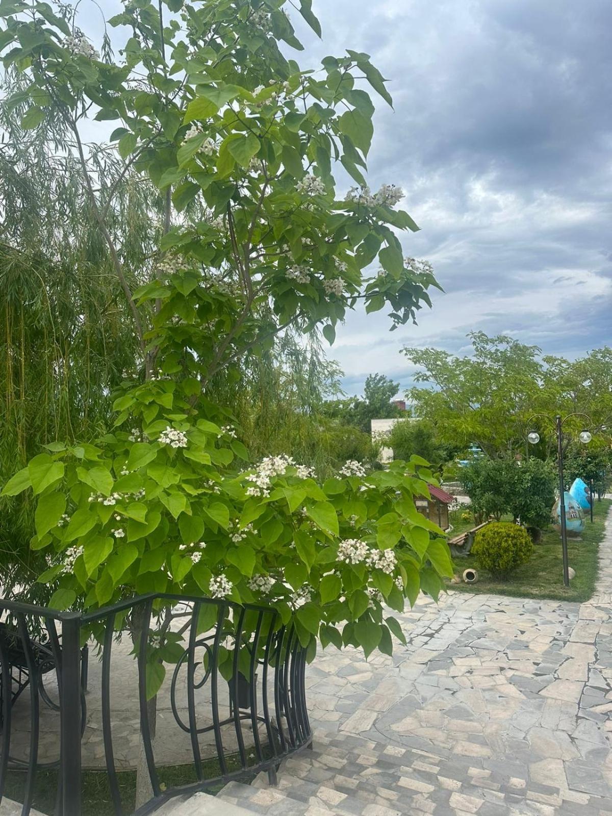 Ralina Restaurant and Hotel Ararat Bagian luar foto