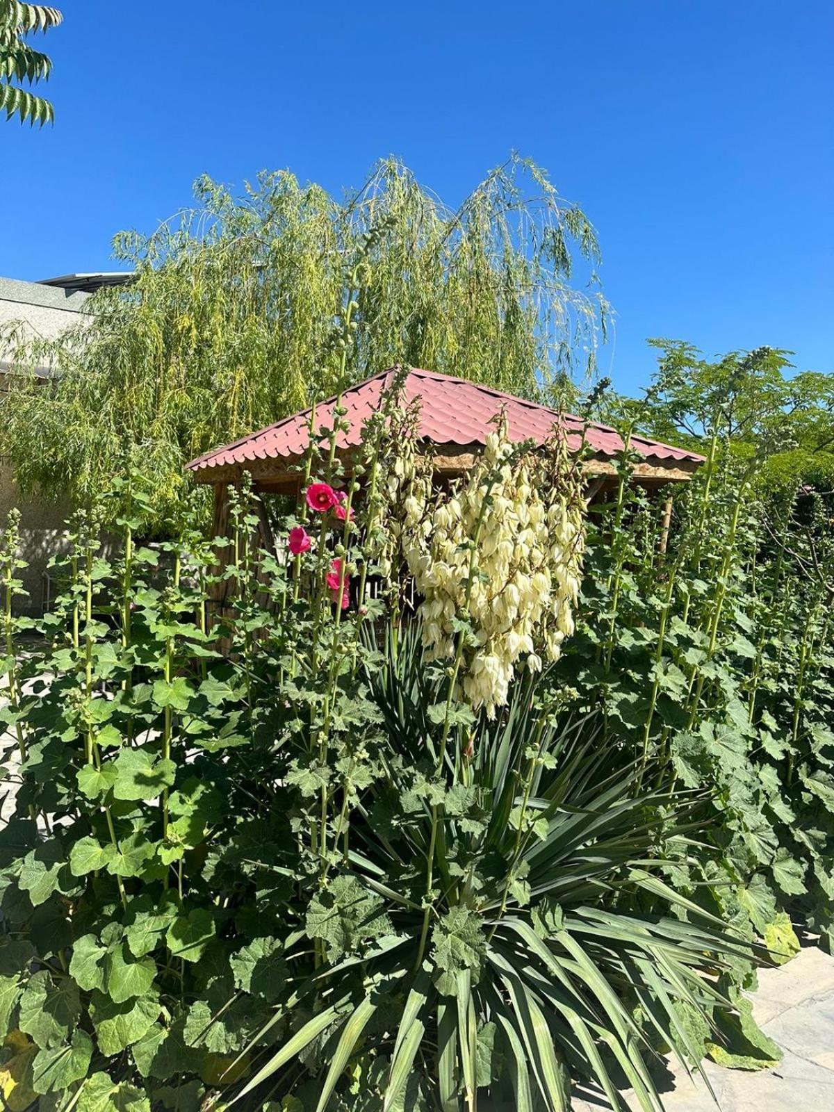 Ralina Restaurant and Hotel Ararat Bagian luar foto